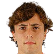 迭戈·霍尔米戈