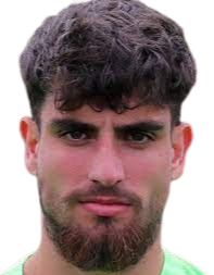 法比奥·桑切斯